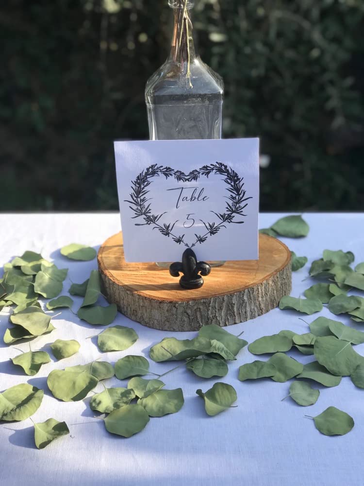 300+ Pcs Dried Real Eucalyptus Leaves, Rustic Boho Wedding Table Decor, 100% Natural Preserved Silver Dollar Eucalyptus Decor Green Leaves, Biodegradable Confetti for Weeding, DIY, Baby Shower, Cake1